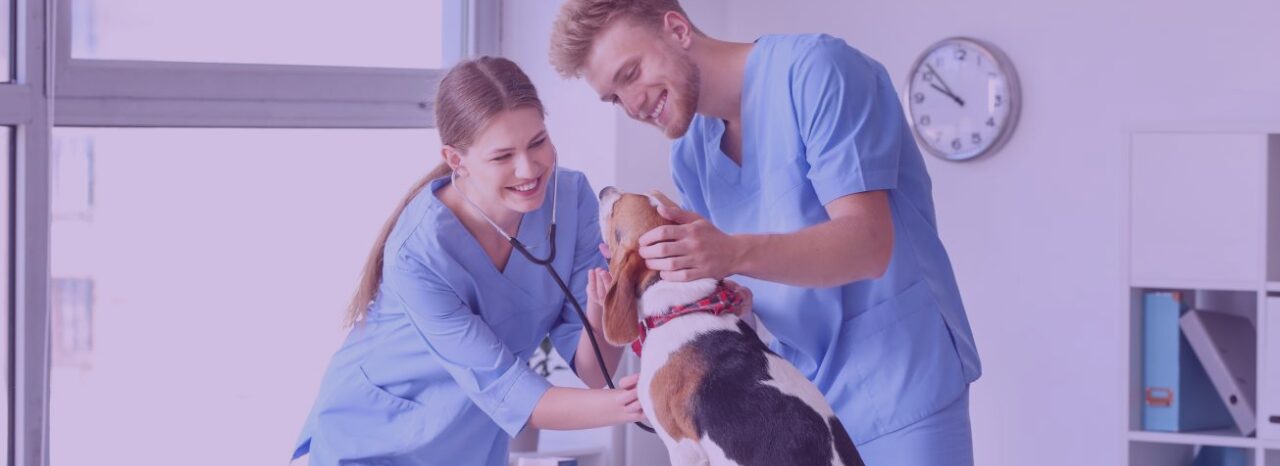 Surgiris au service des vétérinaires !